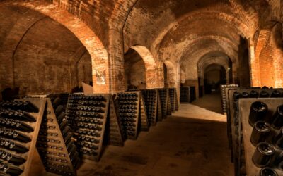 Cantine Bosca: un progetto di successo!