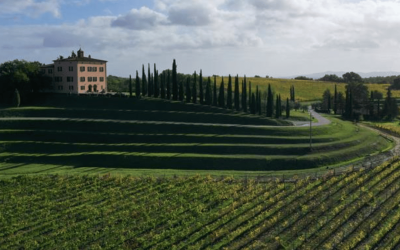 Progetto Industria 4.0 per Tenute del Cerro